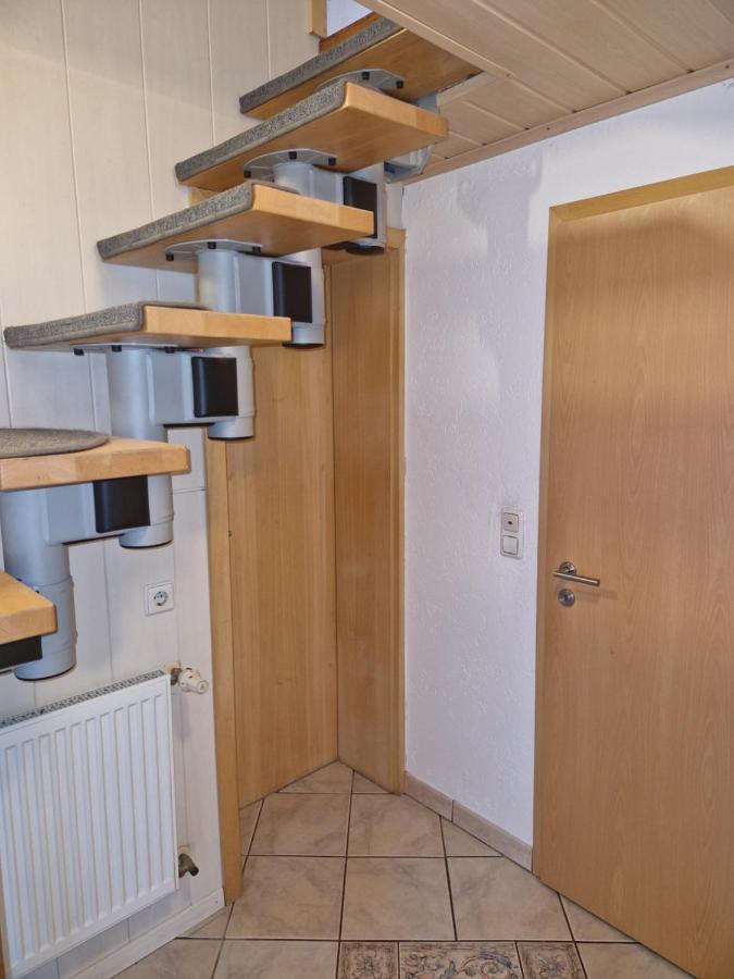 Ferienwohnung Blumenshein Bei Speyer Karlsruhe Familienfreundlich 5 Pers Zeiskam 外观 照片