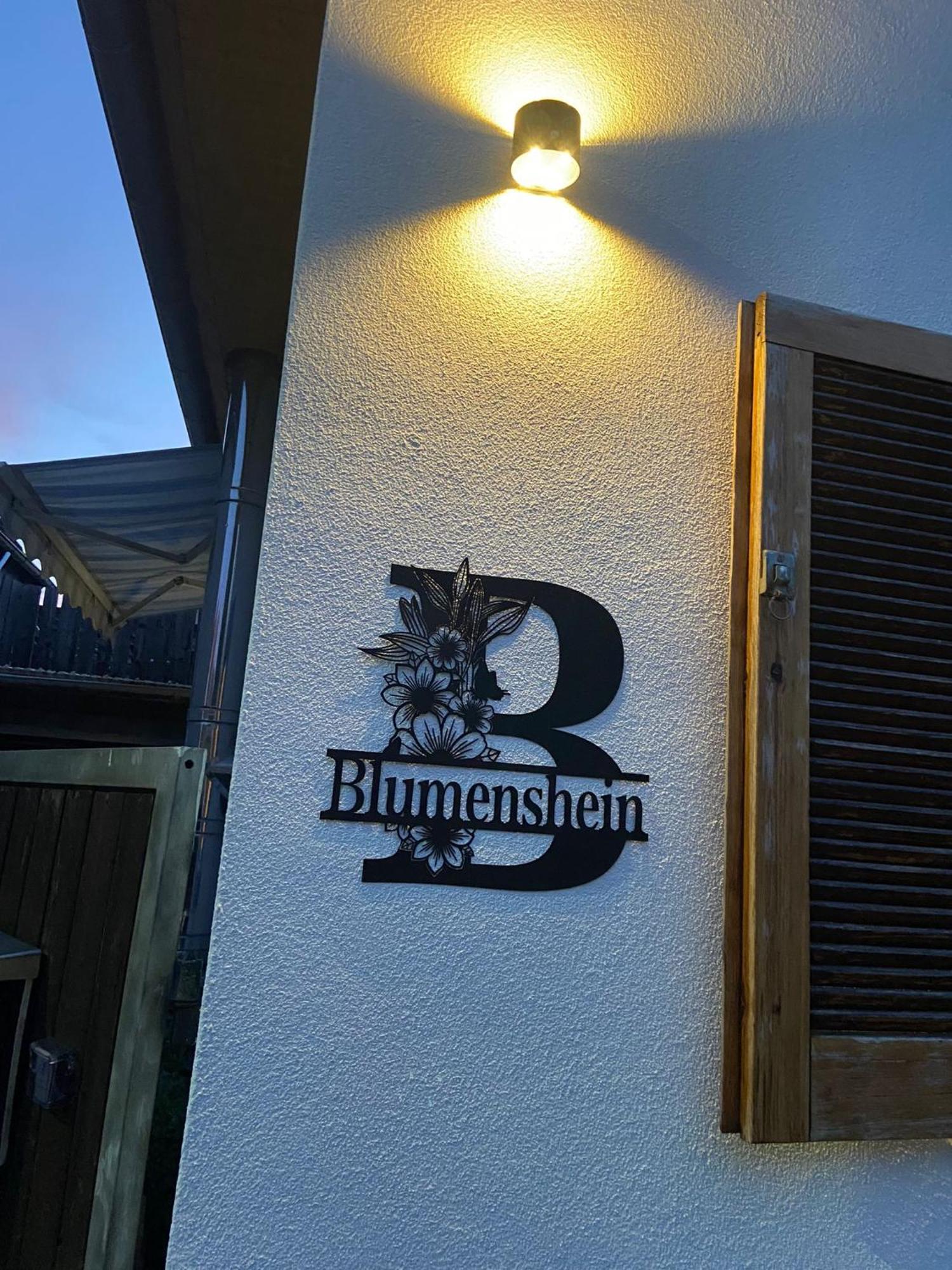Ferienwohnung Blumenshein Bei Speyer Karlsruhe Familienfreundlich 5 Pers Zeiskam 外观 照片